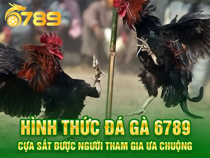 Đá Gà 6789