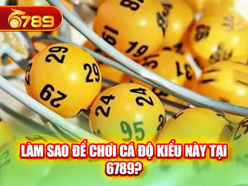 Lô kép